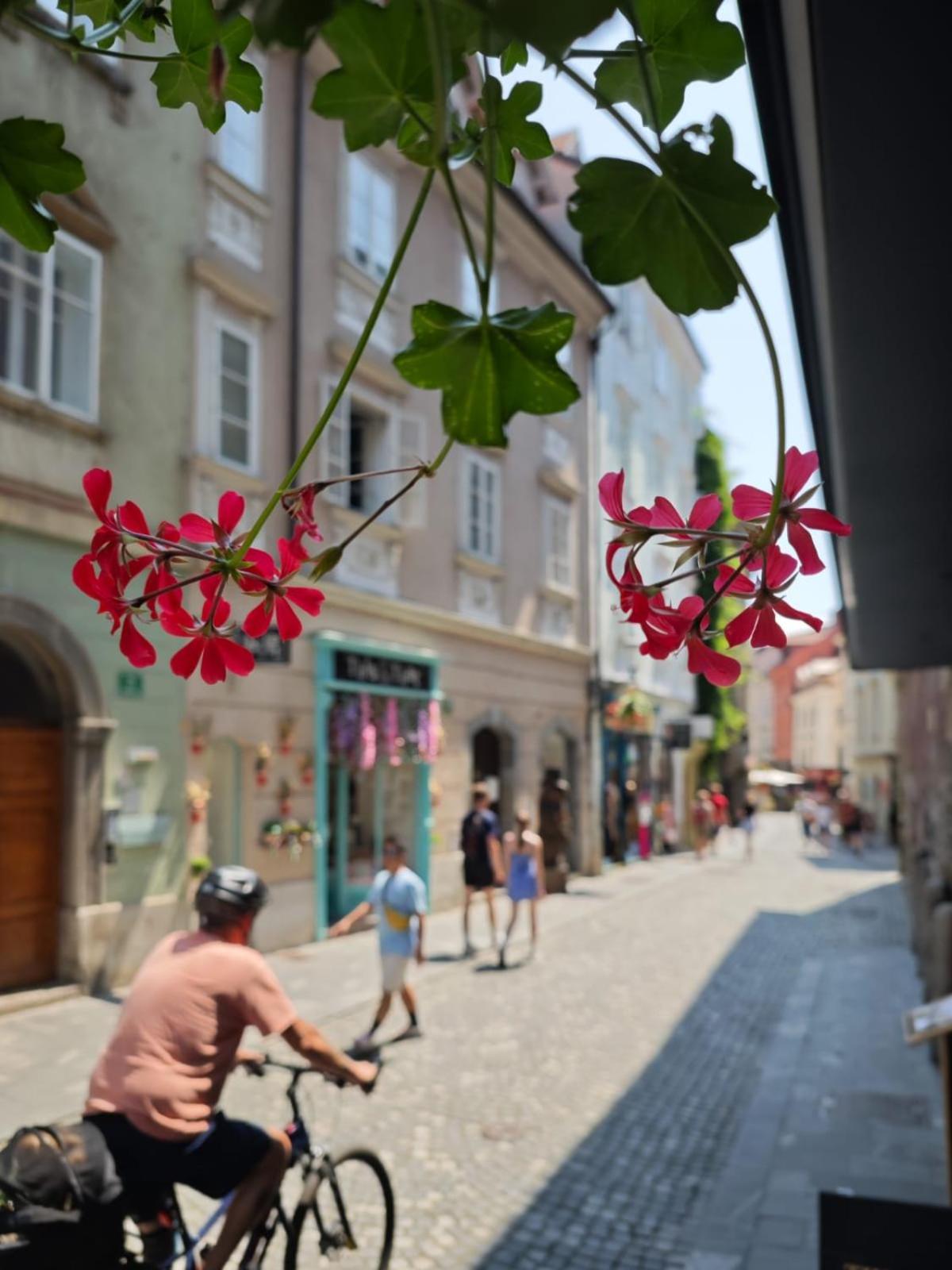 Mondo Diverso Ljubljana Dış mekan fotoğraf